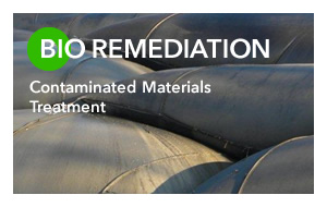 Bio Remediation