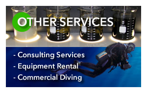 Other Services